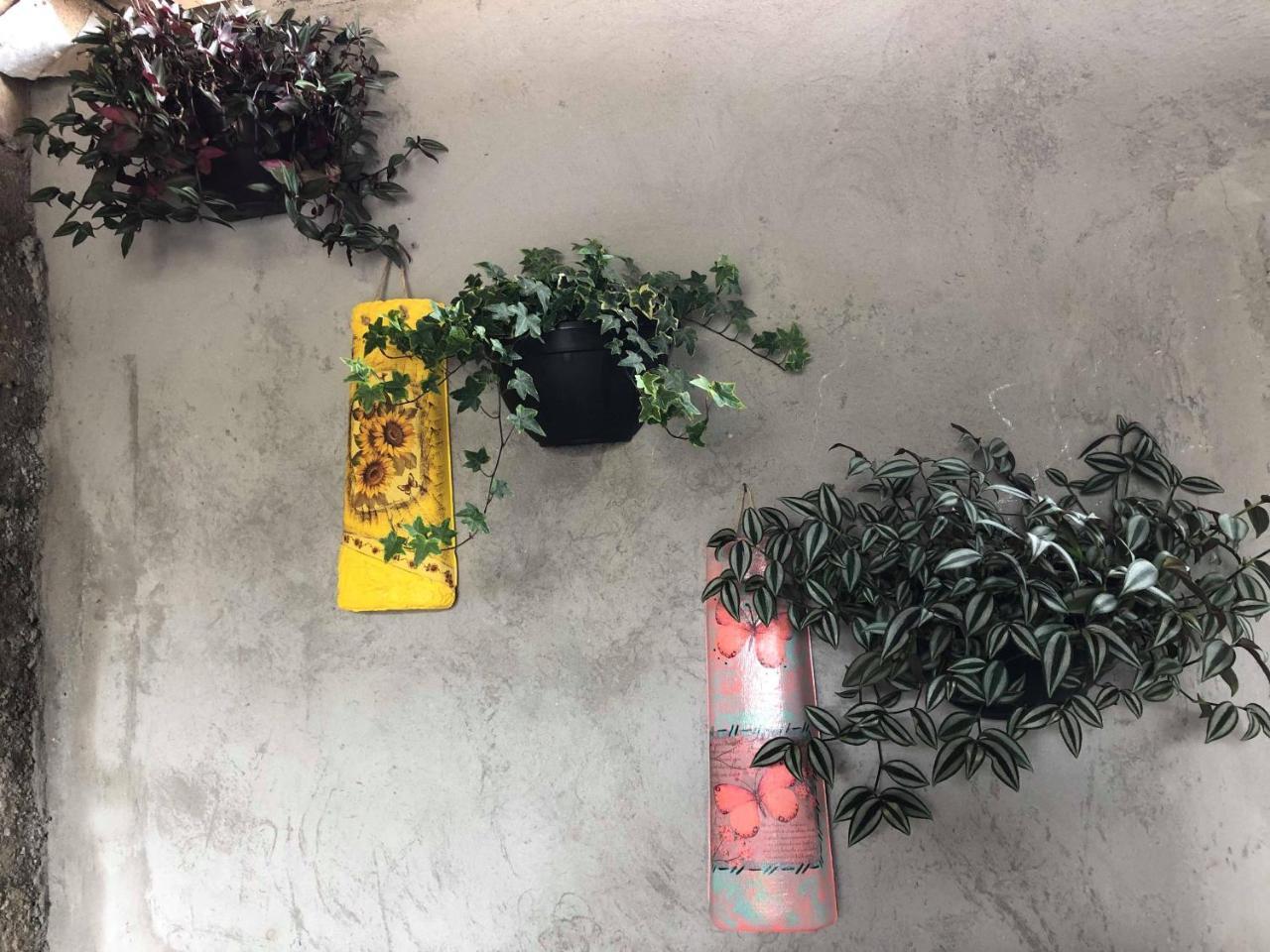 Casa Anexa Com Lareira Villa Campos do Jordao Dış mekan fotoğraf
